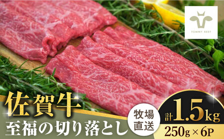 【牧場直送】佐賀牛至福の切り落とし 計1.5kg（250g×6袋） / ブランド牛 黒毛和牛 牛肉 小分け / 佐賀県 / 有限会社佐賀セントラル牧場 [41ASAA025]