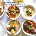【ふるさと納税】「Taste of Irelandシチュー」4種食べ比べセット 島根県松江市/アーティストリー&アイ合同会社（巨人のシチューハウス）[ALEB004]