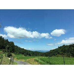 栽培期間中農薬・化学肥料不使用 白米粒が光る棚田米 滋賀県大津産 白米10kg