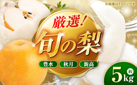 【先行予約】厳選おまかせ梨 約5kg 梨 豊水梨 秋月梨 新高梨 果物 フルーツ 【日本フルーツ株式会社】[ZFJ067]