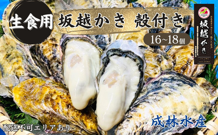 牡蠣 生食用 坂越かき 殻付き 16～18個 成林水産 [ 生牡蠣 真牡蠣 かき カキ 冬牡蠣 ] 魚貝類 名水百選 天然記念物 生島樹林 栄養 海 ミルク 濃厚 旨味 厳選 新鮮 