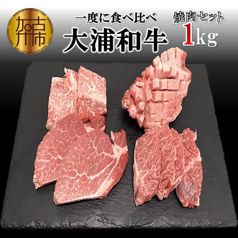 【ふるさと納税】★選べる発送月★大浦和牛焼肉セット(1kg)《 牛肉 牛 国産 焼肉 セット おすすめ ロース 美味しい 牛タン ハラミ ヘレ フィレ ヒレ ヒレ肉 食べ比べ バーベキュー 選べる 選べる発送月 送料無料 楽天市場 》