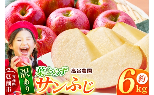 【26年11月～発送】りんご 高谷農園【訳あり】葉とらずサンふじ 約6kg [青森産 りんご サンふじ 葉とらず アップル 林檎 リンゴ 果物 果実 赤色 美味 青森県 弘前市]