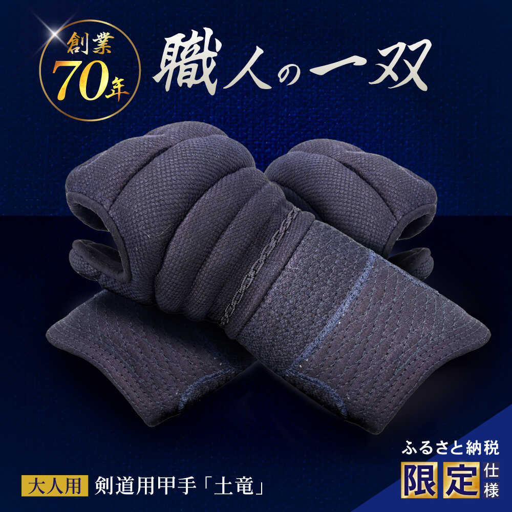 【ふるさと納税】〈限定仕様・名前刺繍〉剣道用甲手「土竜」大人用 / こて コテ 甲手 剣道 防具 けんどう 大人用 成人 / 諫早市 / 株式会社三恵[AHEV001]