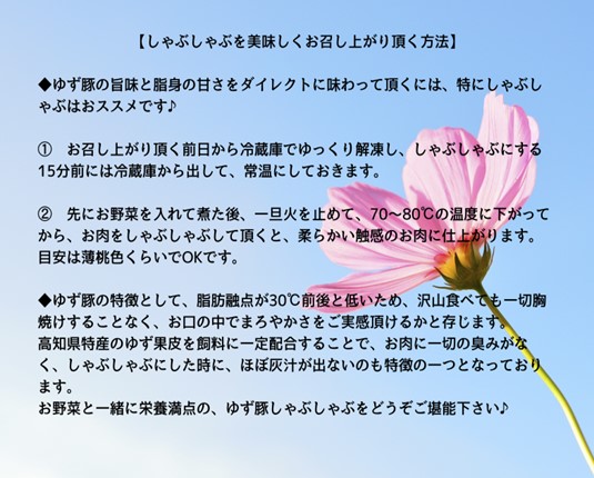112012　二刀流セット（とんかつ＆しゃぶしゃぶ）約1.1kg
