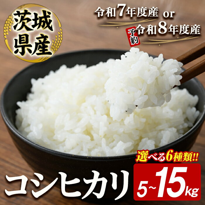 【ふるさと納税】【こしひかり 5kg 10000円】 ＜選べる＞ コシヒカリ 5〜15kg 米 お米 令和8年産 令和7年産 精米 白米 こめ コメ ご飯 ごはん 5キロ 10キロ 15キロ 茨城県産 【常陸大宮さんち農園】【一般財団法人常陸大宮市観光物産協会】【JA常陸 常陸農業協同組合】