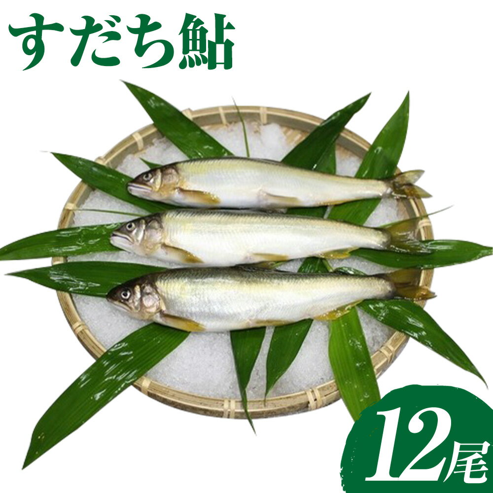 【ふるさと納税】すだち鮎 12尾 冷凍 有限会社岩崎商店 《30日以内に出荷予定(土日祝除く)》│1尾あたり20～25cm 徳島県産 あゆ アユ 魚 魚介 川魚 塩焼き 甘露煮 徳島県 佐那河内村
