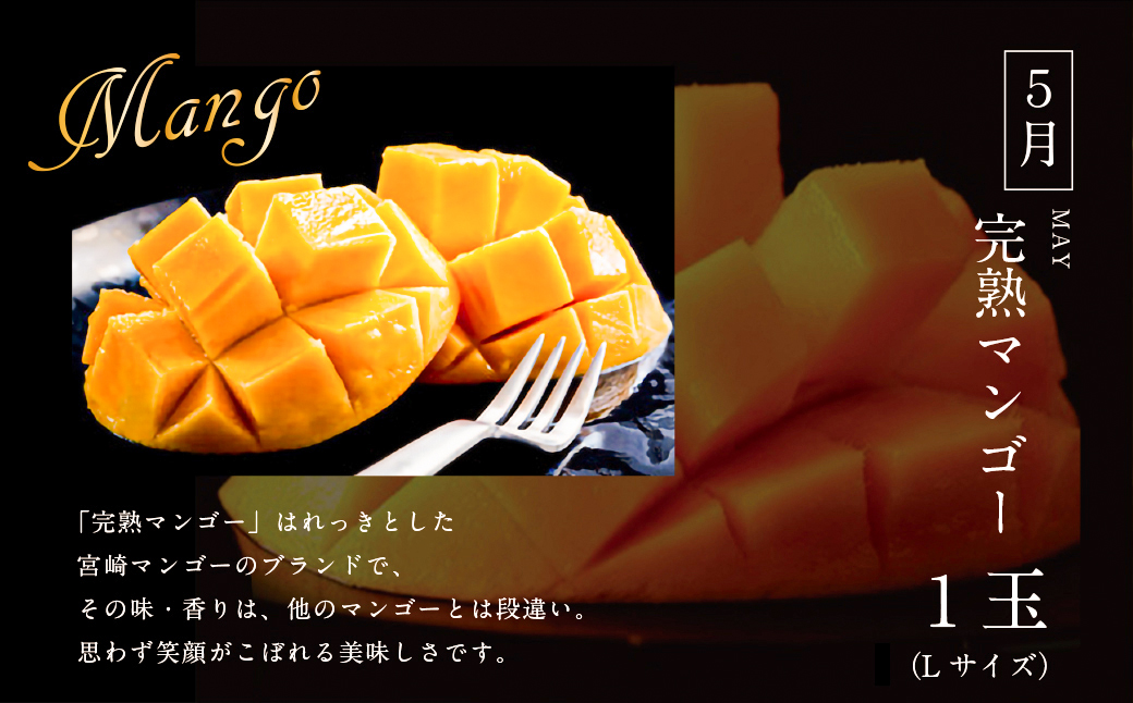 《2026年発送先行予約》【数量・期間限定】青果店厳選！「3ヶ月お届け！くだもの定期便Vol.4」 青果物 果物 フルーツ