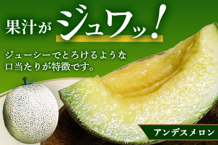 【2025年4月中旬発送開始】【先行予約】熊本県産 アンデスメロン 2玉 約2.5kg以上 ご予約 令和7年 先行 メロン めろん フルーツ 果物 くだもの アンデス 甘い ジューシー 果実 糖度14