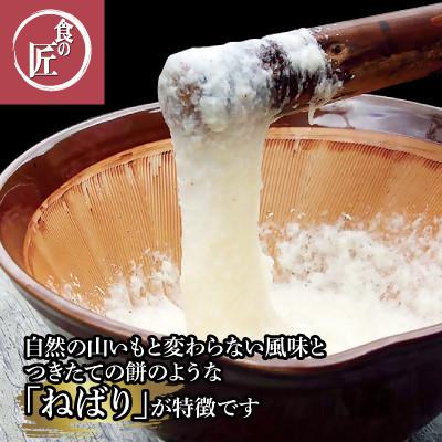ふるさと納税 伊勢市 伊勢の横輪いも 1859 |  | 03