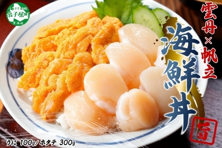 3382. うに チリ産 冷凍 100g ホタテ 300g セット ファミリー ウニ 雲丹 ほたて 生ほたて 帆立 貝柱 貝 冷凍 海鮮 海鮮丼 送料無料 北海道 弟子屈町