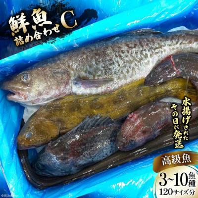 ふるさと納税 気仙沼市 鮮魚 詰め合わせ C 3?10高級魚種 120サイズ分 産地直送 旬 魚介 魚 さかな