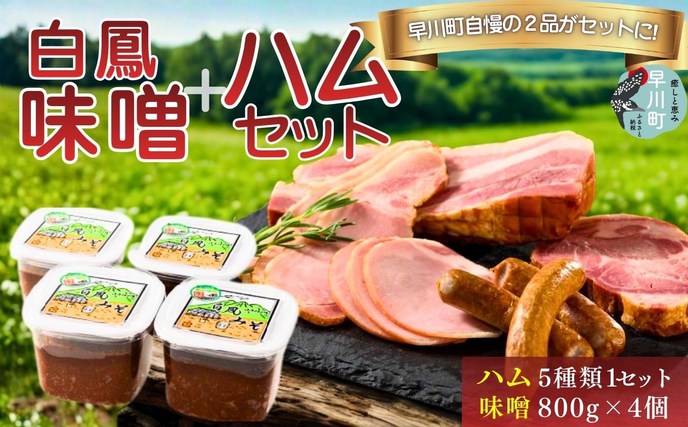 
                  ハム 工房 セット＆ 白鳳 味噌 800g × 4個 ZAIDAN 特別セット 
                