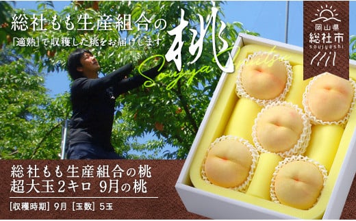 
9月の桃（超大玉白桃5玉2kg）岡山県総社もも生産組合【2024年産先行予約】24-060-001
