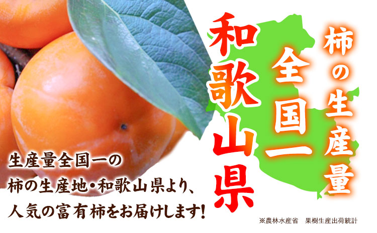 【先行予約】柿 の名産地 九度山の 富有柿 約 7.5kgサイズおまかせ 厳選館 《11月上旬-12月下旬より出荷予定》 和歌山県 日高川町 柿 カキ かき ジューシー フルーツ(F)