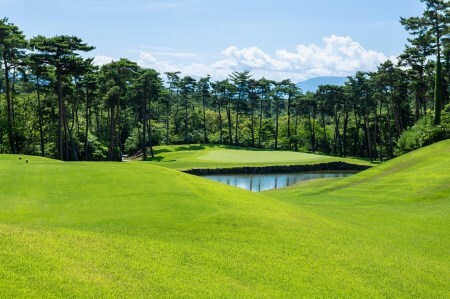 新発田市内ゴルフ場共通感謝券(900,000円分)　【 温泉 旅行 感謝券 旅行券 宿泊券 利用券 宿泊 ゴルフ 月岡 A02_300 】