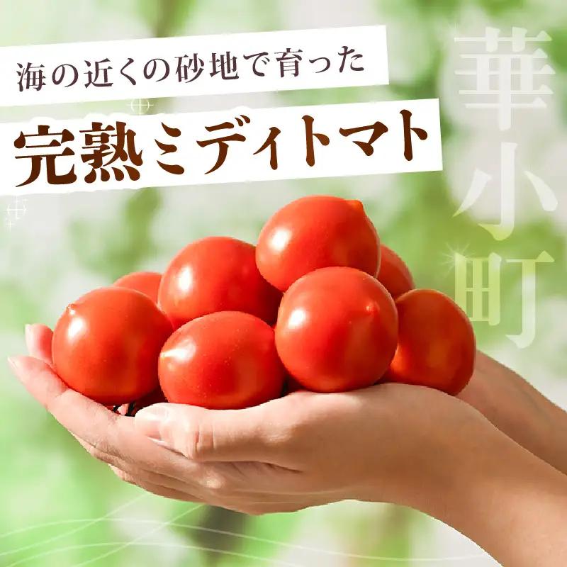 先行予約 完熟ミディトマト 2kg 中玉トマト 2026年10月上旬以降順次発送予定 [A-22102]