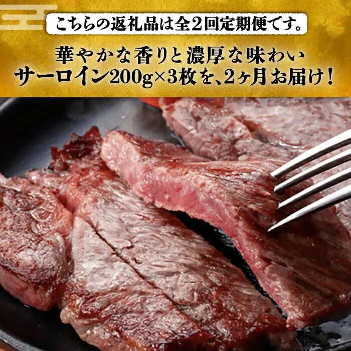 【全2回定期便】 サーロイン ステーキ 200g × 3枚 [ABCL008] 