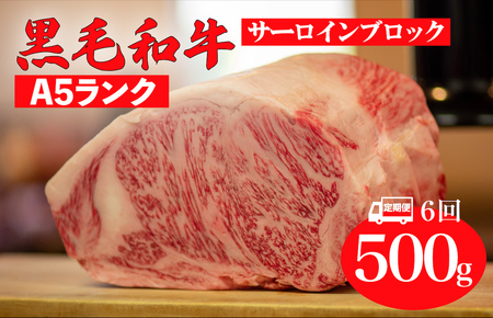 【全6回定期便】黒毛和牛 A5ランク サーロインブロック 500g 和牛 冷蔵 サーロインブロック サーロインブロック サーロインブロック