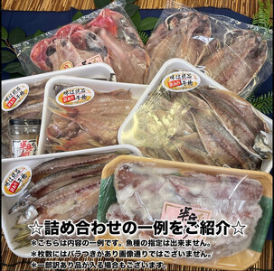 【隔月定期便5回】厳選！小田原の旬の干物セット 極【 まぐろや 神奈川県小田原市 干物 干物 干物 干物 干物】