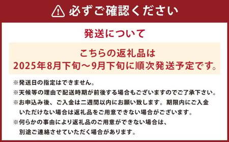 長崎県産 シャインマスカット 約1.2kg ぶどう フルーツ【2025年8月下旬‐9月下旬迄発送予定】