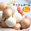 【ふるさと納税】岩手県産 八幡平マッシュルーム 1kg 色はおまかせ ／ ブラウン ホワイト 1キロ 生食 きのこ キノコ 茸 マッシュルーム サラダ パスタ おつまみ 焼く 煮る 揚げる 調理 料理 自宅用 家庭用 和食 洋食 スープ おすすめ ジオファーム 岩手県 八幡平市 送料無料