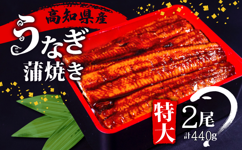 高知県産 うなぎ蒲焼き 220g×2尾セット