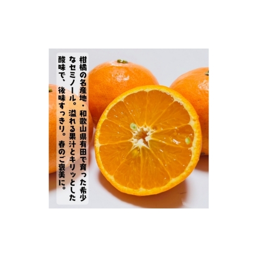 【特撰】セミノール 2kg ｜ みかん 高級 くだもの 晩柑 柑橘 和歌山_イメージ2