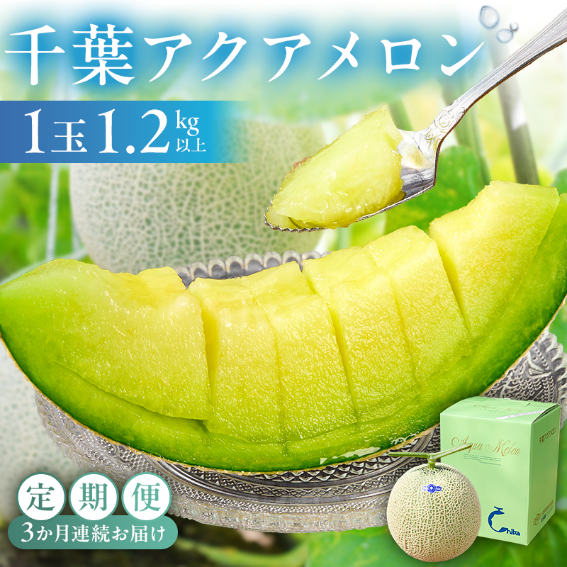 【定期便】千葉アクアメロン1玉（1.2Kg）【3か月連続お届け】 mi0018-0004