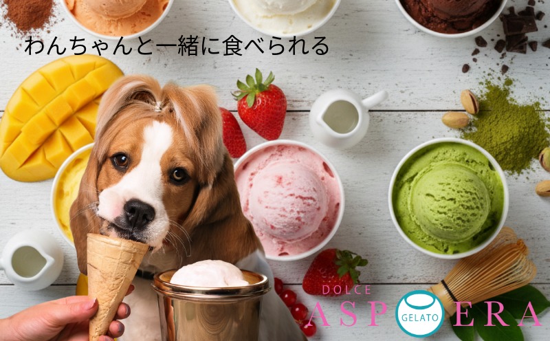 【愛犬と一緒に楽しむ】 贅沢 ジェラート 12個 セット 詰め合わせ 無添加 (季節のジェラート6個 ＆ わんちゃん専用6個)【大阪 泉佐野 大阪府 泉佐野市】