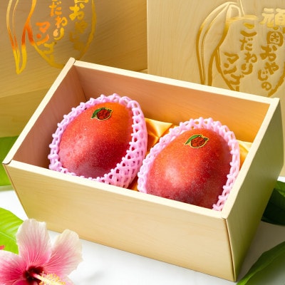 【2026年発送・糖度15度以上保証】頑固おやじのこだわりマンゴー匠 大玉1kg(2玉)【配送不可地域：離島】