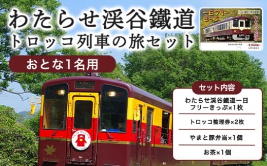 
【73】わたらせ渓谷鐵道「トロッコ列車の旅セット」 ※おとな１名用
