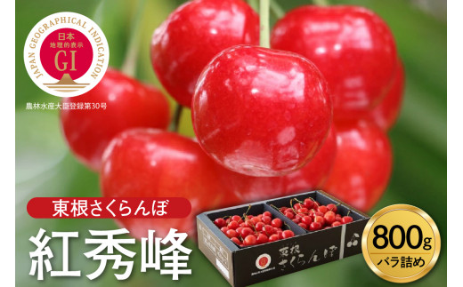【2027年産】GI東根さくらんぼ「紅秀峰」800g バラ詰め 山形県 東根市 hi001-040-r9 フルーツ JA 農協 人気 さくらんぼ 紅秀峰 バラ 贈答 ギフト 化粧箱 産地直送 冷蔵 先行