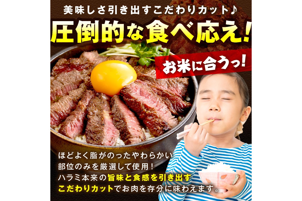 【訳あり】牛ハラミ（サガリ） 秘伝のタレ込み 味付け肉 600g（300g×2パック）　YK00677