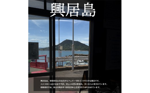 興居島産 レモンの木 1本収穫オーナー権  |  オーナー制度  収穫体験 柑橘 レモン れもん  愛媛県 松山市 興居島 オーナー