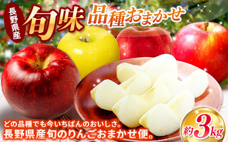 【先行予約】信州産りんご【品種おまかせ】約3kg (8～12玉)【秋映・シナノスイート・シナノゴールド・名月・サンふじ・あいかの香り】《2026年10月上旬頃から発送》