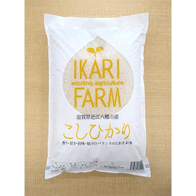 ふるさと納税 近江八幡市 【令和7年産】お米の代表格「コシヒカリ」白米5kg【滋賀県近江八幡市:近江米】