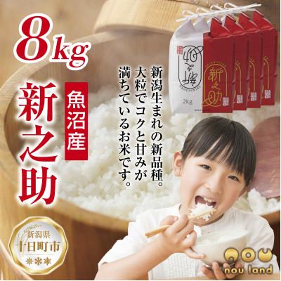 ふるさと納税 十日町市 【令和7年産 新米予約】 【新品種】 魚沼産 新之助 8kg   新潟県 十日町市 のうランド