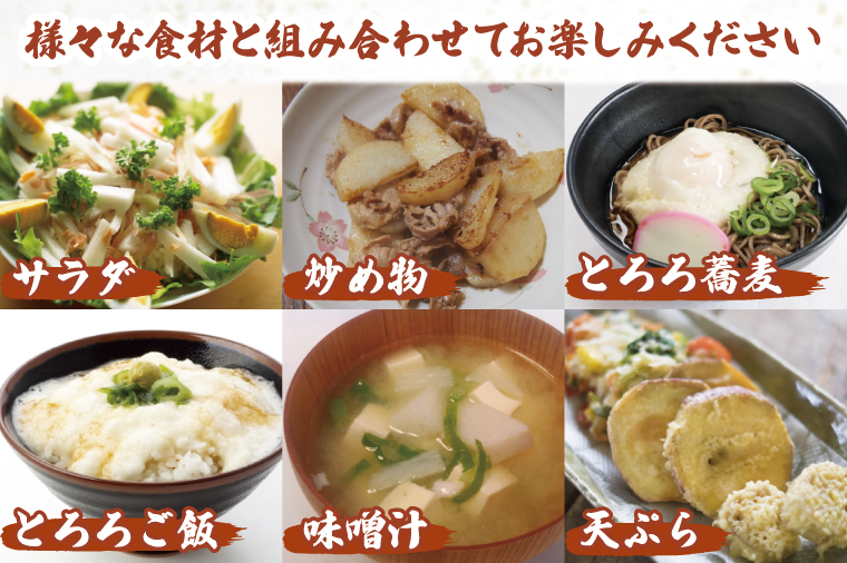 【2025年12月より順次発送】風間商店さんのながいも 約5kg(10～12本)｜ながいも いも 芋 長芋 野菜 やさい 人気 美容 健康 腸活 味噌汁 天ぷら 茨城県 行方市 行方市産(HO-2)