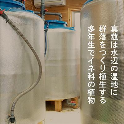 ふるさと納税 西桂町 真菰(まこも)乳酸菌液 1.5L 2本セット |  | 02