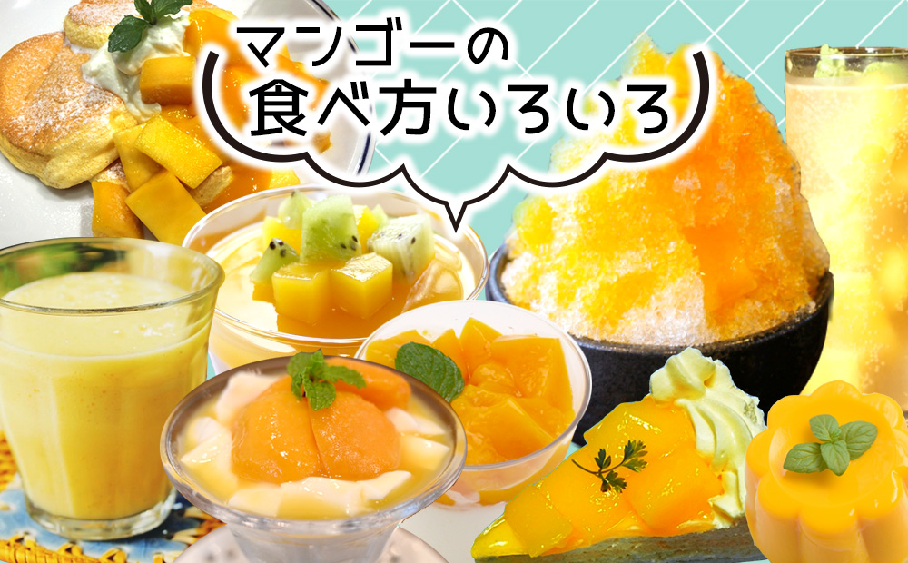 【2026年発送】贈答用マンゴー 約2kg【宜野座村産】 沖縄 南国 先行予約 期間限定 マンゴー 果物 くだもの フルーツ 果実 家庭用 自宅用 濃厚 甘い 芳醇 夏