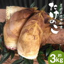 【ふるさと納税】たけのこ 約3kg ぬか・とうがらし付 採れたて 産地直送 筍 野菜 時津町産 長崎県産 九州産 送料無料【2025年3月下旬～4月下旬に順次発送予定】