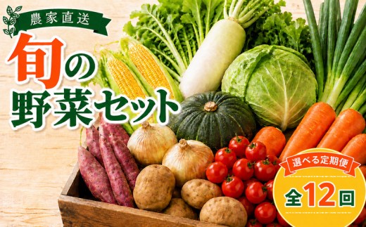 野菜 定期便 野菜セット サブスク 旬 詰め合わせ やさい 全12回 毎月 先行予約 定期 野菜詰め合わせ おまかせ セット ていきびん 銚子 新鮮野菜 農家直送 産直 産地直送 トウモロコシ サツマイモ ミニトマト タマネギ キャベツ ジャガイモ カボチャ yasai 春野菜 夏野菜 秋野菜 冬野菜 人気 ふるさと納税 千葉県 銚子市 送料無料 サンズファーム 【2026年11月以降発送】