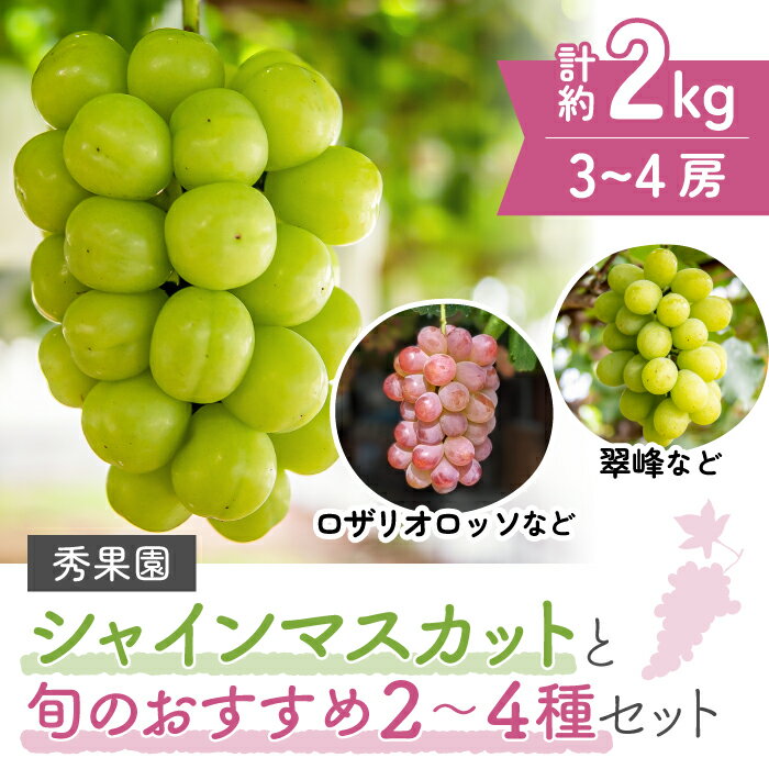 【ふるさと納税】【予約受付2026年発送】シャインマスカットと旬のおすすめ2〜4種セット（合計3~4房、約2kg）｜秀果園　※2026年9月下旬~10月順次発送予定