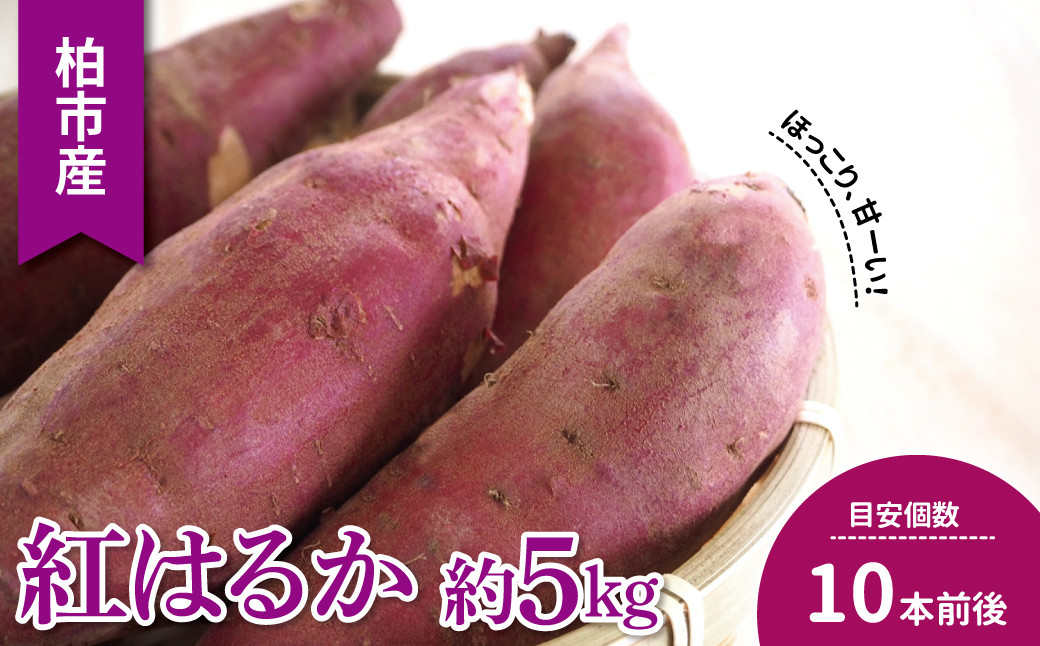 
柏産紅はるか　5kg
