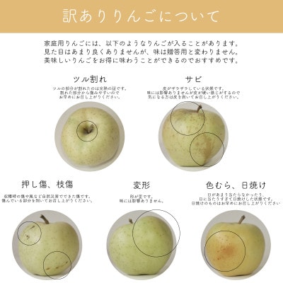 【産地直送】シナノゴールド 家庭用 3kg(7〜10個)【配送不可地域：離島・沖縄県】【1663950】