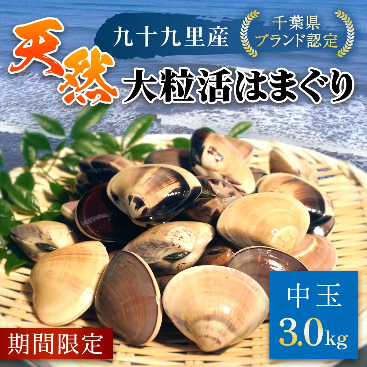 【千葉県ブランド認定】天然大粒活はまぐり（中玉）《3㎏》ギフトBOX付き／ふるさと納税 はまぐり ハマグリ 蛤 貝類 魚介 海鮮 お吸い物 パスタ パエリア お歳暮 贈答 お祝い 千葉県 山武市 SMBO005