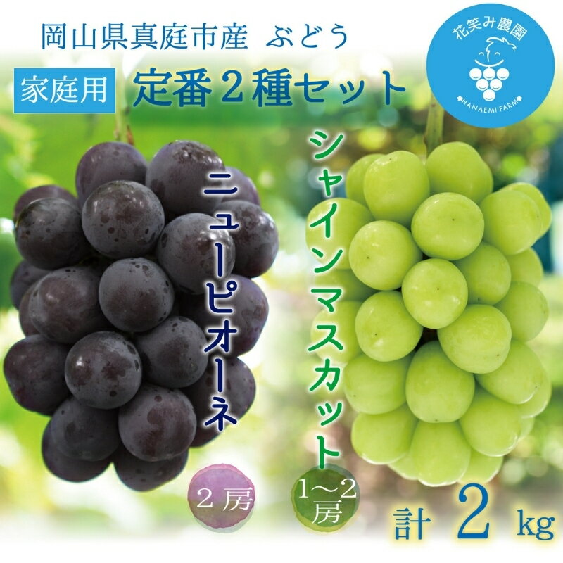 【ふるさと納税】 岡山　花笑み農園『ニューピオーネ&シャインマスカット』家庭用　約2kg　PS-2 hana63【2025年9月中旬〜順次発送】真庭 国産 産地直送 フルーツ 葡萄 ぶどう ブドウ 果物 食べ比べ 数量限定 甘い 先行予約 おすすめ 人気【配送不可地域：離島】【1596617】