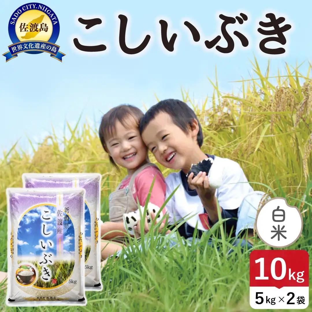 佐渡島産こしいぶき 白米 10kg 令和8年産 農薬5割減 土屋農園 195962-051402