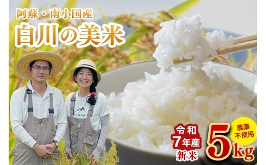 令和７年産 白川の美米 ５kg 令和7年産 南小国産 玄米 白米 3分づき 5分づき 7分づき 森のくまさん 精米 米 お米 ご飯 ごはん 無農薬 農薬不使用 自然栽培 産地直送 白川自然農園 熊本 南小国 送料無料